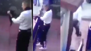 Orduevinde yavru kediye işkence!