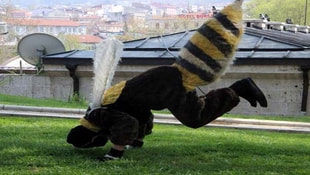 Canan Karatayı arı kostümüyle protesto etti