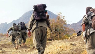 Büyük operasyon! 29 PKKlı terörist öldürüldü