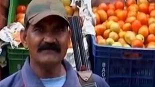 Hindistanda domatese silahlı koruma!