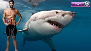 Phelps, köpek balığına iki saniye farkla yenildi!