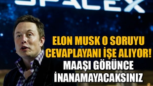 Elon Musk o soruyu cevaplayanı işe alıyor! Maaşı görünce inanamayacaksınız