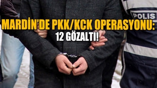 Mardinde PKK/KCK operasyonu: 12 gözaltı