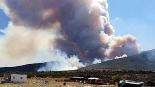 Torbalıda 45 hektarlık orman ve makilik yandı