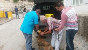 Köpeğe şiddete 625 lira para cezası ve hayvan sahiplenme yasağı