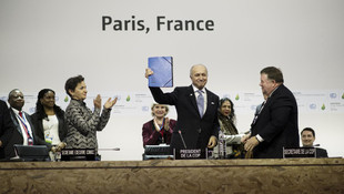 21. BM İklim Değişikliği Taraflar Konferansı