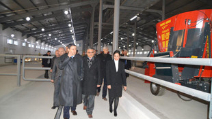 Ağrı Valisi Işın: