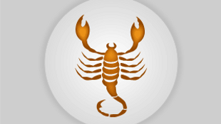 Akrep burcunu 2016 yılında neler bekliyor? Akrep burcu 2016! 2016 burç yorumları!