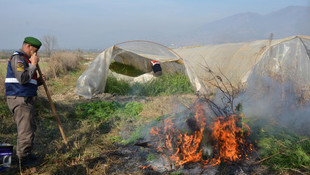Aydın'da uyuşturucu operasyonu