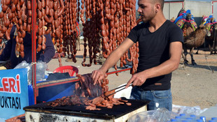 Ayvalık'ta deve güreşi festivali