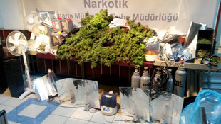 Başkentte "marihuana" operasyonu