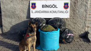 Bingöl'de 162 kilo 260 gram esrar ele geçirildi