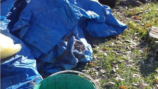 Bingöl'de terör operasyonu