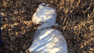 Bingöl'de terör operasyonu