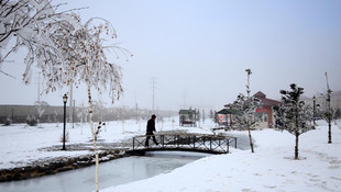 Bitlis'te sis ve dondurucu soğuk