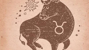 Boğa burcu 2016 burç yorumu! Boğa burcunu 2016da neler bekliyor? 2016 burç yorumları!