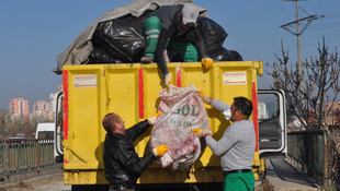 Bursa'da yol kenarına bırakılmış at eti bulundu