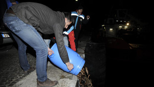 Çanakkale'de "deniz patlıcanı" operasyonu