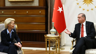 Cumhurbaşkanı Erdoğanın kabulü