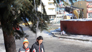Doğu Anadolu'da kış