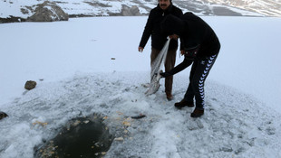 Donan gölde balık avı