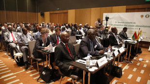 Ebola Afrika'da tarımı da olumsuz etkiledi