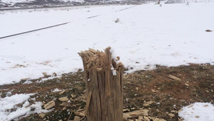 Bitlis'te telefon direği hırsızlığı