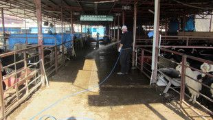 Kahramanmaraş'ta canlı hayvan pazarı kapatıldı