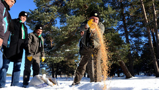 Kars'ta yaban hayatı için doğaya yem bırakıldı