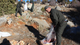Konya'da yaban hayvanları için doğaya yem bırakıldı