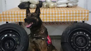 Malatya'da kaçakçılıkla mücadele