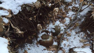 Terör örgütü DAEŞ üyesi 14 kişi yakalandı