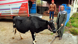 Osmaniye'deki şap karantinası