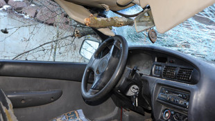 Seyir halindeki kamyonetin üzerine ağaç devrildi