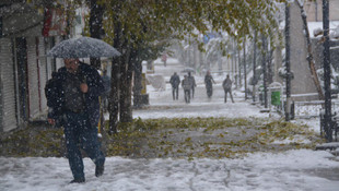 Siirt'te kar yağışı