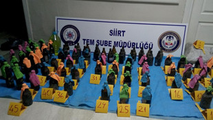 Siirt'te terörle mücadele