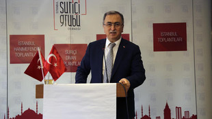 TBMM Anayasa Komisyonu Başkan Vekili Petek: