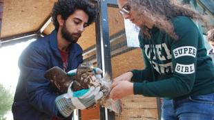 Tedavi edilen yaban kuşları doğaya bırakıldı