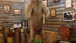 Telef olan boz ayı ölümsüzleştirildi