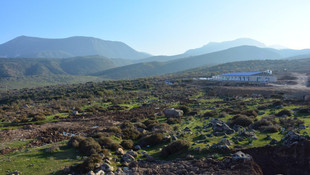 TOKİ Başkanı Turan: