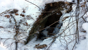 Tunceli'de terör operasyonu