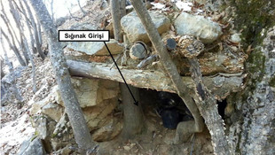 Tunceli'deki terör operasyonu