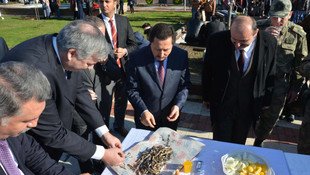 Üniversite öğrencileri 2 ton hamsi tüketti