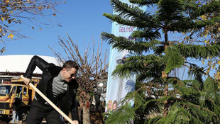 Ünlüler ormanına bir ağaç da Rumen şarkıcıdan