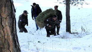 Yaban hayatı için doğaya yem bırakıldı