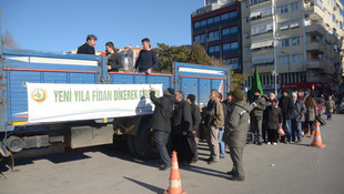 "Yılbaşında ağaç kesme, fidan dik" kampanyası