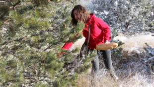 Yozgat'ta yaban hayatına yem desteği