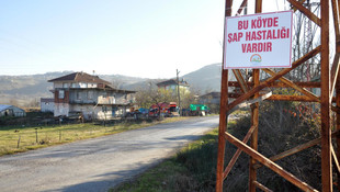 Zonguldak'ta şap karantinası