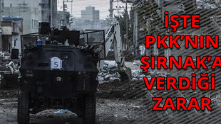 PKK Şırnaka ne kadar zarar verdi?