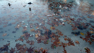 Antalya'da havuzlar buz tuttu